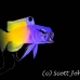 basslet_fairy_lphr_gc_h_0146_cay4054_rv.jpg